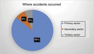The sectors in which injured patients worked (%).