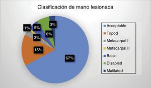 Distribution of injured hand involvement according to the classification subgroups of Del Piñal3 (%).
