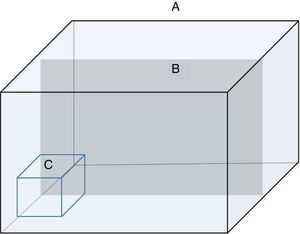 Illustration of the experimental chamber: A is the aquarium, B the partition, and C the “housing”.