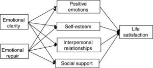 A hypothetical model to explain the relationship between emotional intelligence and life satisfaction.