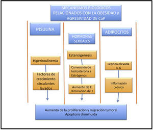Mecanismos relacionados con obesidad y agresividad de CaP.