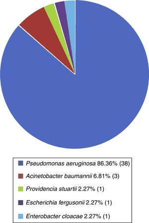 Microorganismos más frecuentemente aislados con resistencia bacteriana extendida. Pseudomonas aeruginosa es la más frecuente con resistencia extendida, seguida de Acinetobacter baumannii.