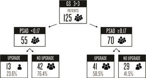 The study population, showing the different prostate-specific antigen densities and upgrade data.
