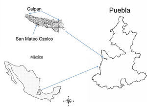 Ubicación de la comunidad de estudio: San Mateo Ozolco, municipio de Calpan, Puebla (Elaboración propia)
