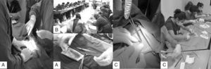 Distintos tipos de simuladores utilizados para el entrenamiento y evaluación. A) Conejo, B) pata de puerco y C) piel sintética.