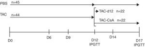 Time schedule for the experiment. The animals were treated with tacrolimus (0.3mg/kg/day) for 11 days, and they were randomly assigned to one of the following groups: (a) TAC-d12 (n=22), sacrificed on day 12, or (b) TAC-CSA (n=22), tacrolimus was replaced with CsA (2.5mg/kg/day) for 5 days. The un-treated control (PBS, n=23) received PBS for 11 days and was sacrificed on day 12, or received PBS for 17 days (PBS, n=22).