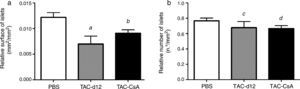 Morphometry of the OZR islets treated with PBS or TAC for 11 days (TAC-d12), or TAC for 11 days with change to CsA (TAC-CsA) for 5 days (n=10 per treatment). (a) Surface of islets adjusted to the total surface of pancreas. (b) Number of islets adjusted to mm2 of pancreas. The mean is represented±SD. (a) a: TAC-d12 vs PBS p=0.011. b: TAC-CsA vs PBS p=0.016 and vs TAC-d12 p=0.197. (b) c: TAC-d12 vs PBS p=0.523. d: TAC-CsA vs PBS p=0.078 and vs TAC-d12 p=0.892.