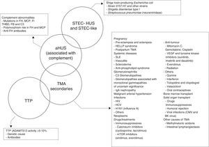 Classification of the aetiologies of thrombotic microangiopathies. ADAMTS13: A Disintegrin And Metalloproteinase with a ThromboSpondin type 1 motif, member 13; aHUS: atypical haemolytic uraemic syndrome; CMV: cytomegalovirus; FB: complement factor B; FH: complement factor H; FI: complement factor I; HCV: hepatitis C virus; HELLP: Hemolysis, Elevated Liver enzymes, Low Platelet count; HIV: human immunodeficiency virus; HUS: haemolytic uraemic syndrome; MCP: membrane cofactor protein; mTOR: mammalian target of Rapamycin; SEL: systemic erythematous lupus; STEC: Shiga toxin-producing Escherichia coli; THBD: thrombomodulin; TMA: thrombotic microangiopathy; TTP: thrombocytopenic thrombotic purpura; VEGF: vascular endothelial growth factor.