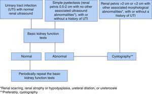 Proposed algorithm for ordering cystography in children with UTI or CAKUT based on specific ultrasound morphological data and basic kidney function tests.