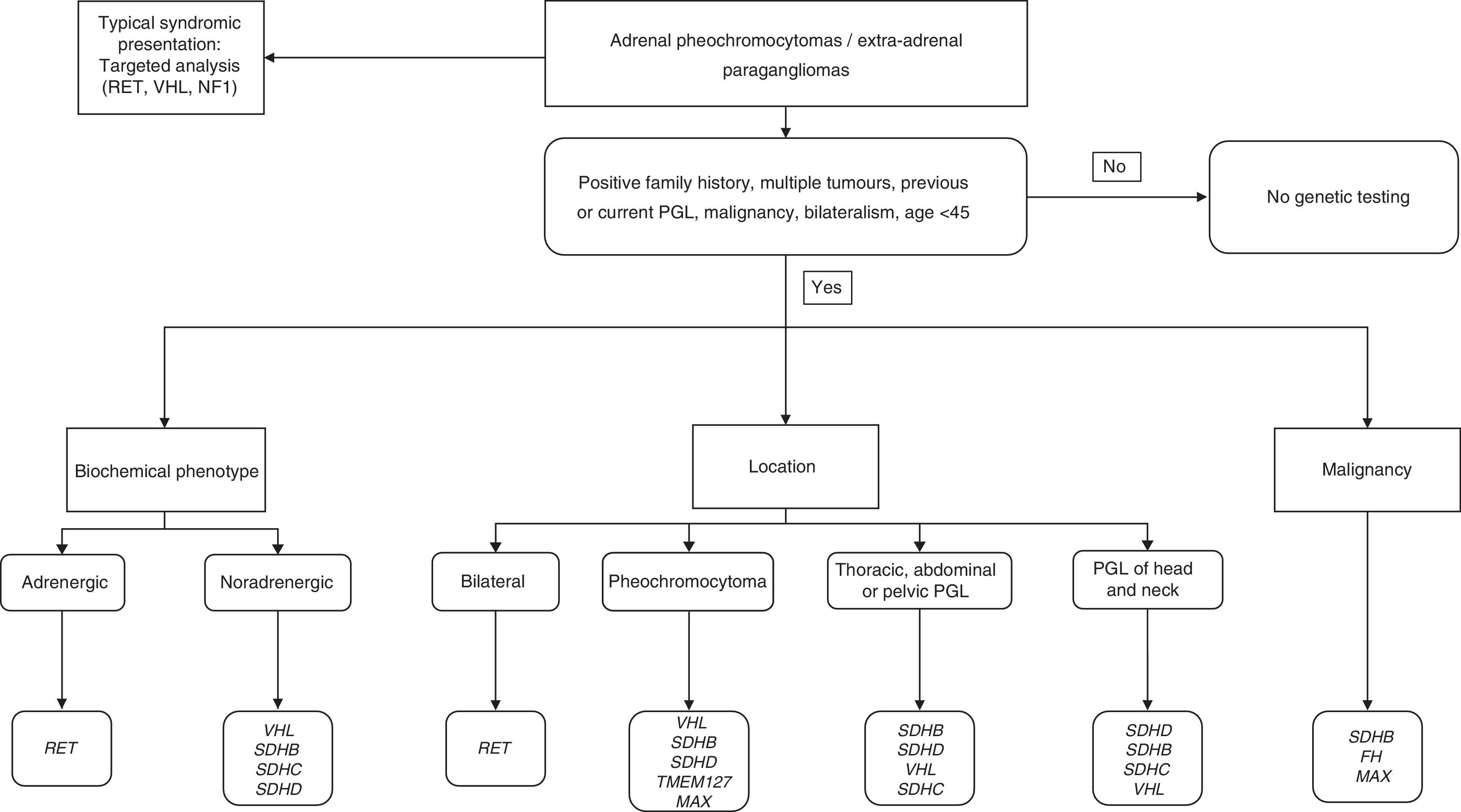 Pheochromocytoma-paraganglioma: Biochemical and genetic diagnosis ...