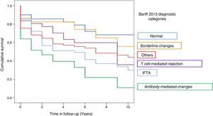 Graft survival (censored by death) with renal biopsy with indication, according to the different Banff 2013 categories after 10 years of follow-up. IFTA: interstitial fibrosis/tubular atrophy; T-mediated rejection: T cell-mediated rejection.