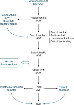 Order of creating vascular access. CVC, central venous catheter; nAVF, native arteriovenous fistula; pAVF, prosthetic arteriovenous fistula. In black, the primary sequence.