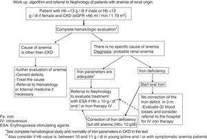 Work up algorithm and referral to Nephrology of patients with anemia of renal origin.