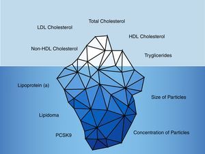 Traditional and non-traditional lipid parameters. The traditional lipid parameters are based on total cholesterol, LDL-cholesterol, HDL-cholesterol, non-HDL-cholesterol and triglycerides. However, non-traditional parameters such as the lipidoma, particle size and number of particles along with lipoprotein(a) and PCSK9 levels would provide more accurate information about the vascular risk of CKD patients.