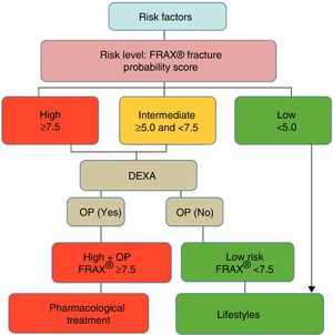 Decision tree based on the most cost-effective option in the Spanish FRIDEX cohort of Spanish women (general population) who did not receive treatment during the 10 years of follow-up.47 DXA or DEXA: Dual-Energy X-ray absorptiometry; OP: osteoporosis.