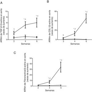 Mice with CKD induced by a adenine rich diet show the aorta with increased expression of the profibrotic cytokine TGF-β1 and in the extracellular matrix genes. The mice were fed for 2, 4 or 6 weeks with either the standard diet (Control, black circles) or with a diet rich in adenine (Adenine, black triangles). The mRNA levels of TGF-β1 (A), collagen I (COL I, B) or fibronectin (C) in the aorta were determined by RT-qPCR. The total β-actin levels were as their respective endogenous controls. The values are presented as the mean±SEM vs. Control. * p<0.05 vs. 2 weeks, 1p<0.05 vs. Control, at the same time period. n=5 animals/group.