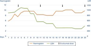 Evolution of the patient's haemoglobin and LDH.