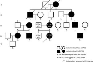 Pedigree of the patient