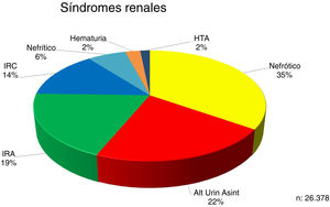 Distribution of renal syndromes at the time of renal biopsy.