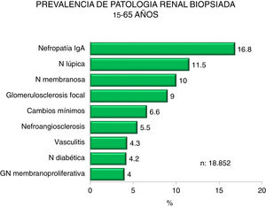 Prevalence of biopsied kidney diseases in patients 15-65 years.