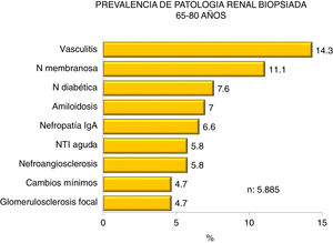 Prevalence of biopsied kidney diseases in patients 65-80 years.