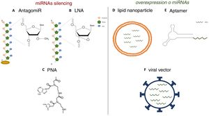Strategies for the in vivo administration of miRNA antagonists or agonists. AC) Chemical structure of nucleic acid analogs: antagomiR (A), LNA (B) and PNA (C), used as in vivo miRNA silencing strategies. DF) Schematic models of lipid nanoparticles (D), aptamers (E) and viral vectors (F) for in vivo mimetic delivery.
