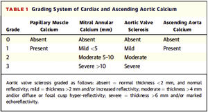 Grading system for valvular calcification and ascending aorta of Gaibazzi et al.31.
