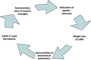 Basic scheme of evaluation in patients infected by SARS-CoV-2.