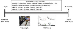 Intervention with intradialysis physical exercise.