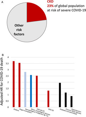 Chronic kidney disease (CKD) is the most prevalent risk factor for severe COVID-19 and also the risk factor for severe COVID-19 that is associated with the highest risk of death, after old age. (A) CKD as a percentage of persons at risk of severe COVID-19 in a global scale. Data from 11. (B) Risk of death associated with pre-existent conditions in patients with COVID-19 in an adjusted analysis. Data from 10. Reproduced from 1 and 9.