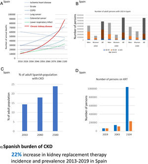 CKD burden and epidemiology in Spain. (A) Projected numbers of annual deaths in Spain by cause. Alzheimer not shown but it is projected to become the first cause of death before the end of the century, well above the others. Past growth according to GBD 2016 Spain was projected into the future.32 The projection did not consider the progressive aging of the Spanish population. Thus, it represents an underestimation of CKD-related deaths. (B) Number of adults with CKD in Spain, by gender and overall, according to the ERICA study from 2010 and projection into the future assuming the same prevalence of CKD by age category and considering changes in the Spanish population age pyramid according to the World Health Organization (WHO) predictions.33–35 Since the increasing mean age within each age category was not considered, this projection represents an underestimation.33,34 For each selected year, data for men, women and all are shown. (C) Percentage of Spanish adults with CKD in the ERICA study (2010) and projection into the future.33–35 (D) Number of prevalent persons on KRT in Spain in 2019 and projection into the future based on the 22% (12,000 persons) growth from 2013 to 2019.21 In blue, estimates according to hypothesized exponential growth; in orange, estimates according to linear growth. The progressive aging of the population was not accounted for, potentially underestimating the results. (E) Increase in incidence and prevalence of KRT from 2013 to 2019 in Spain. Reproduced from 1.