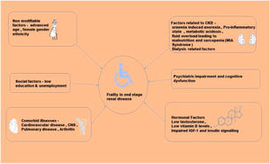 Pathogenesis of frailty in end stage renal disease (Abbreviations: CNS – central nervous system, CKD – chronic kidney disease, MIA – malnutrition inflammation-atherosclerosis, IGF – insulin like growth factor).