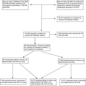 General outline of the study. SES, Health Service of Extremadura; uACR, urine albumin-to-creatinine ratio; eGFR, estimated glomerular filtration.