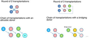 Exchange options in the Spanish paired kidney transplantation scheme.