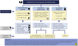 Renoprotective drugs in lupus nephritis. ARA-II: Angiotensin II receptor antagonists; CCBs: Calcium channel blockers; ACEIs: angiotensin converting enzyme inhibitors; iSGLT2: Sodium-glucose tubular cotransporter 2 inhibitors; RAAS: Renin-angiotensin-aldosterone system; uPCR: urine protein/creatinine ratio.