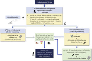 Treatment of lupus podocytopathy. CsA: Cyclosporine; MPAA: Mycophenolic Acid Analogues; TAC: Tacrolimus.