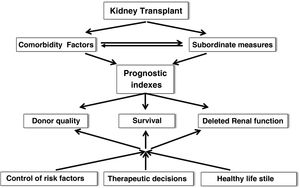 Interaction between prognostic indices, survival and therapeutic decisions in renal transplantation.