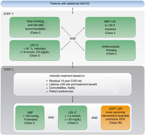 Algorithm of therapeutic targets and pharmacological treatment in patients with established vascular disease. Adapted from Visseren et al.1 (Fig. 7, p. 27). CV, cardiovascular; DAPT: dual antiplatelet therapy; DPI: dual pathway inhibition; C-LDL: low-density lipoprotein cholesterol; CVD: cardiovascular disease; SBP, systolic blood pressure; EPA: eicosapentaenoic acid.