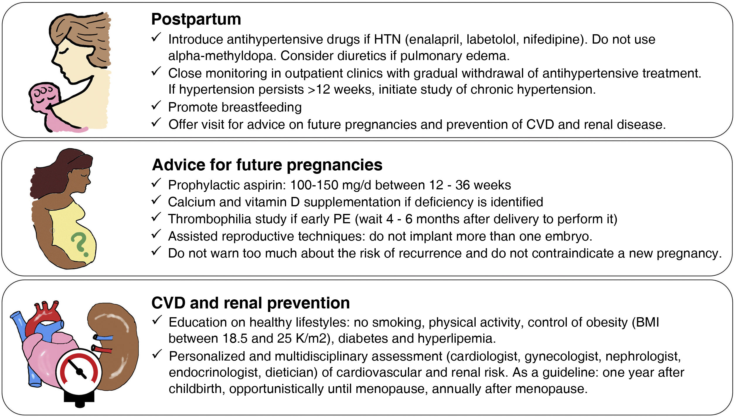 Vascular Risk Reduction Cardiovascular and renal health: Preeclampsia as a risk marker | Nefrología