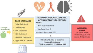 Basic recommendations for lipid profile reporting in Spanish clinical laboratories.