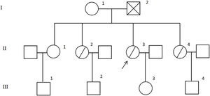 Pedigree of the families.