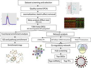 Flow diagram representing different steps of this study.