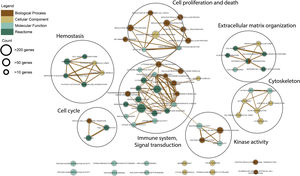 Functional enrichment map of meta-DEGs using top 20 enriched GO terms and pathways.
