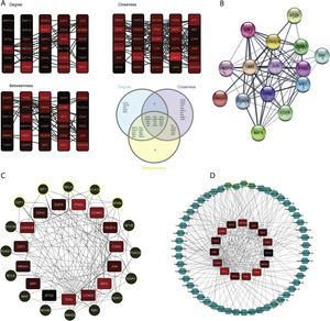 Regulatory network analysis and hub molecule identification. (A). Top 30 DEGs based on degree, closeness and betweenness centralities and Venn diagram showing the common DEGs among these three groups. (B). PPI network among all the 15 identified hub genes. (C). TFs targeting the hub-genes. The highlighted nodes are hub TFs targeting hub DEGs in the constructed regulatory network. (D). miRNAs targeting the hub-genes. The highlighted nodes are top miRNA molecules targeting the hub DEGs in the constructed regulatory network.
