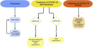 Recommendations on the prevention and treatment of SARS-CoV-2 infection. MAB: monoclonal antibodies; IL-6: Interleukin-6; JAK: Janus kinase. 1Vaccination and passive immunization with MAB are not mutually exclusive. At least 15 days after vaccination is advised to administer MAB; COVID-19 vaccines can be administered simultaneously or at any time after MAB. 2Avoid it if there are pharmacological interactions, so it is not usually indicated as a first option in transplant recipients. There are proposals for dose adjustment in GFR<30ml/min/1.73m2, that are not supported in clinical practice.52 3Although limited, some published experiences do not show greater toxicity in advanced CKD.54,55 Some guidelines propose its use with GFR<30ml/min/1.73m2, evaluating the risks-benefits.45 4Indicated, in general, if the anti-S IgG antibody response is considered inadequate for the patient