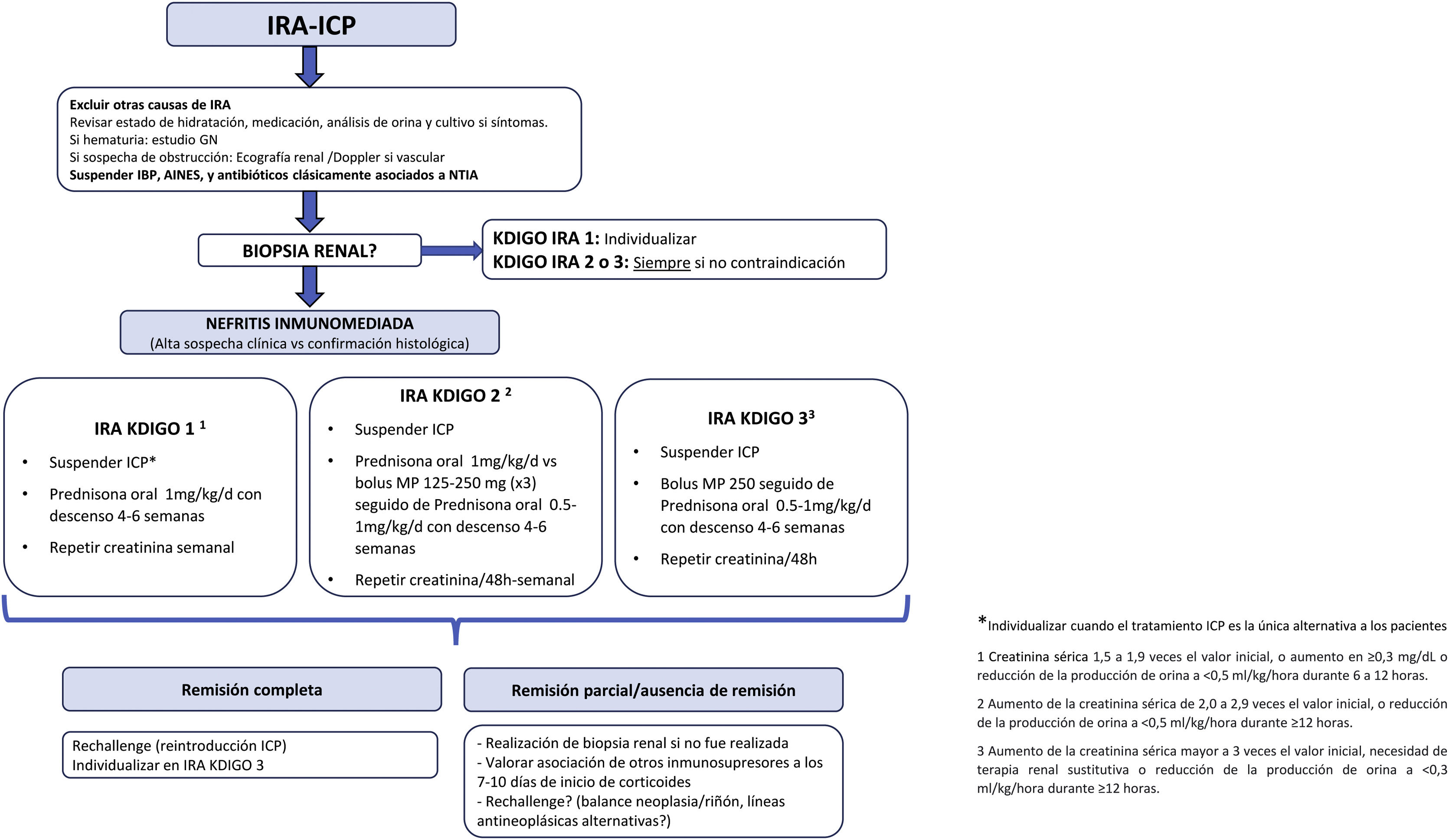 Adverse renal effects of check-point inhibitors (ICI) in cancer ...