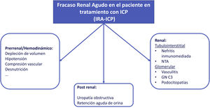 ARF in patients treated with check-point inhibitors (CPI).