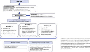 Management of the patient with renal failure under treatment with check-point inhibitors (CPI).