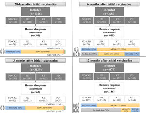 Flow chart of the different humoral response assessment in SENCOVAC. Abbreviations: ND-CKD: non-dialysis chronic kidney disease, HD: hemodialysis, PD: peritoneal dialysis, KT: kidney transplant.