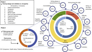Schematic of the survey development (design/validation phase and results collection/analysis phase) and main results (in %).